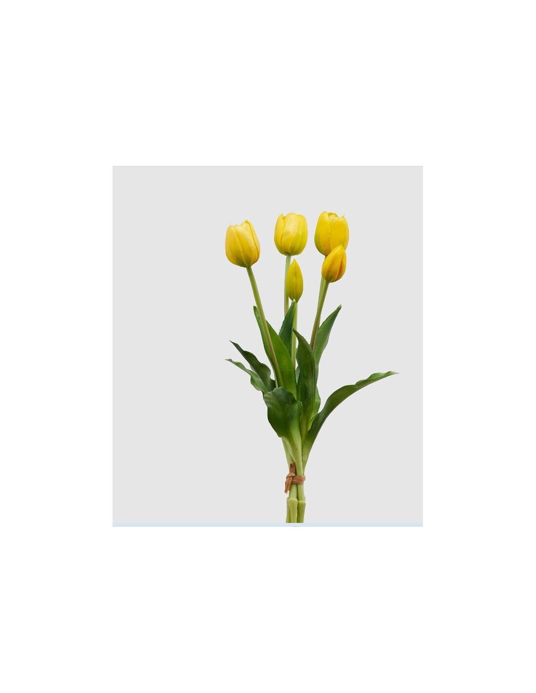EDG - Mazzo con 5 tulipani gialli - Pat 25