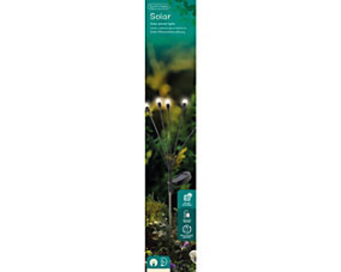 Warm White Berry Solar Stake Light LED Firefly Decorative Garden Path ...
